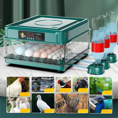 Automatischer Eierbrüter mit Wende- und Temperaturkontrolle