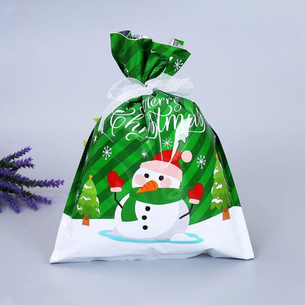 Sac Cadeau Réutilisable Noël Écologique - Foivo