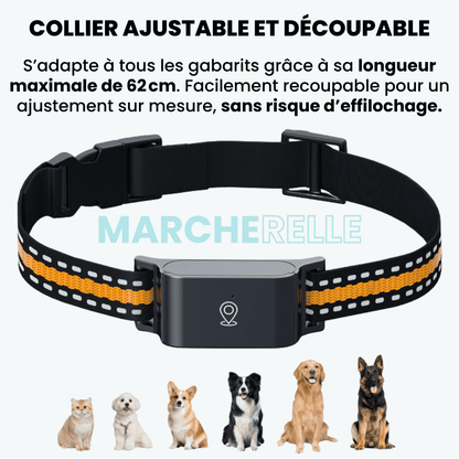 Marcherelle™ – Collier GPS Chien Sans Abonnement Suivi Précis & Illimité