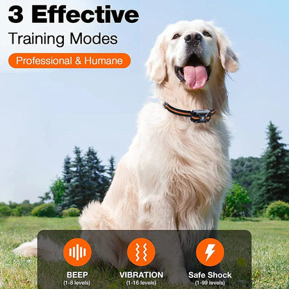 Marcherelle™ – Collier de Dressage Chien, Étanche avec 3 Modes Réglables